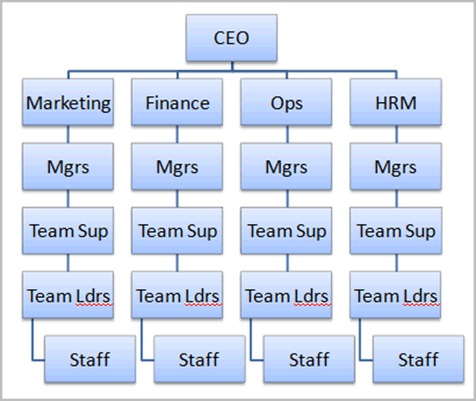 Organisational structure